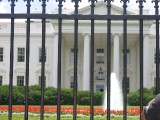 Washinton 109 
